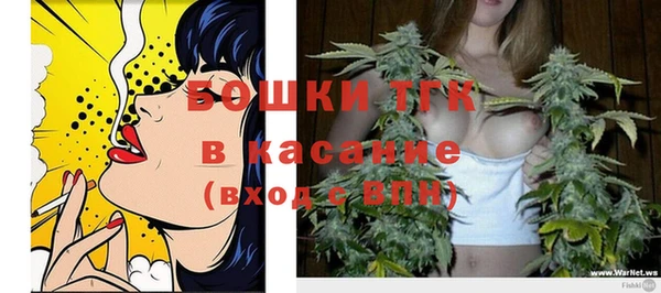 сатива Ахтубинск