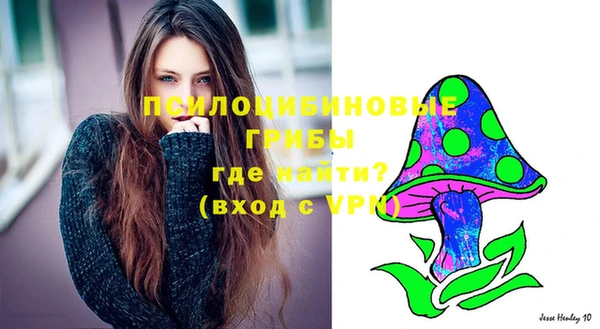 сатива Пестово