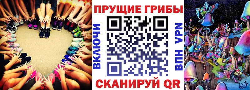 как найти закладки  Болохово  MEGA маркетплейс  Галлюциногенные грибы Magic Shrooms 
